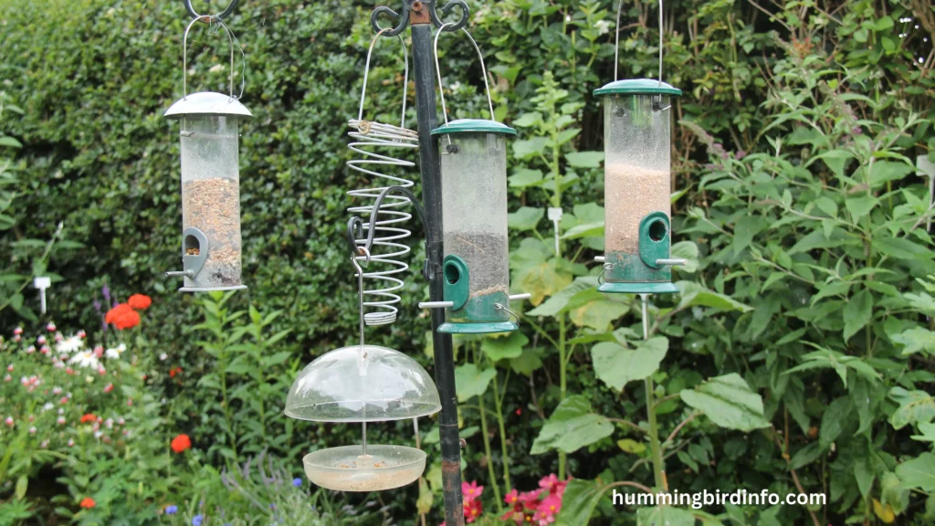 Will Hummingbirds Come To A Blue Feeder? (Answered) 3 Will Hummingbirds Come To A Blue Feeder