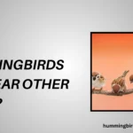 Will Hummingbirds Eat Near Other Birds