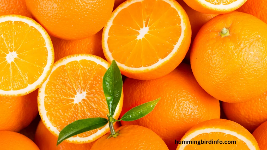 Will Hummingbirds Eat Oranges? (Explained) 2 Will Hummingbirds Eat Oranges