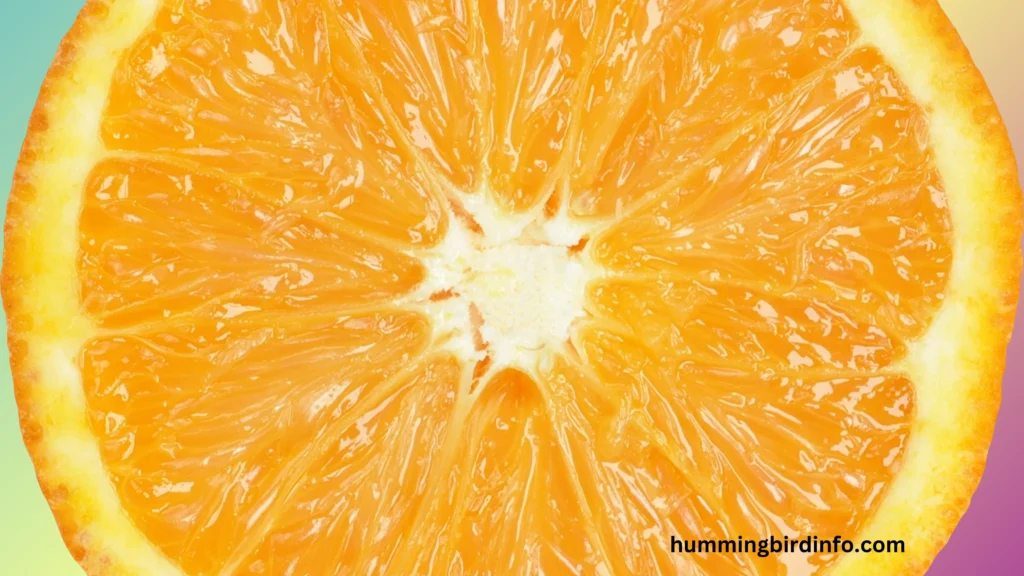 Will Hummingbirds Eat Oranges? (Explained) 3 Will Hummingbirds Eat Oranges