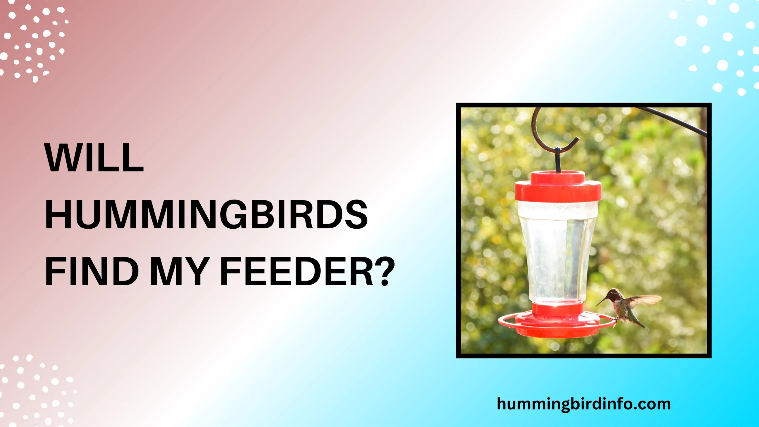 Will Hummingbirds Find My Feeder