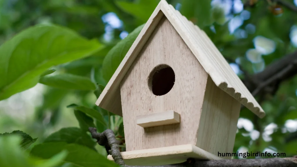 Will Hummingbirds Use A Birdhouse? (Explained) 3 Will Hummingbirds Use A Birdhouse