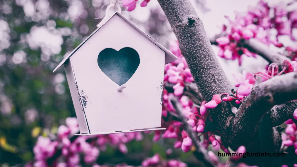 Will Hummingbirds Use A Birdhouse? (Explained) 2 Will Hummingbirds Use A Birdhouse