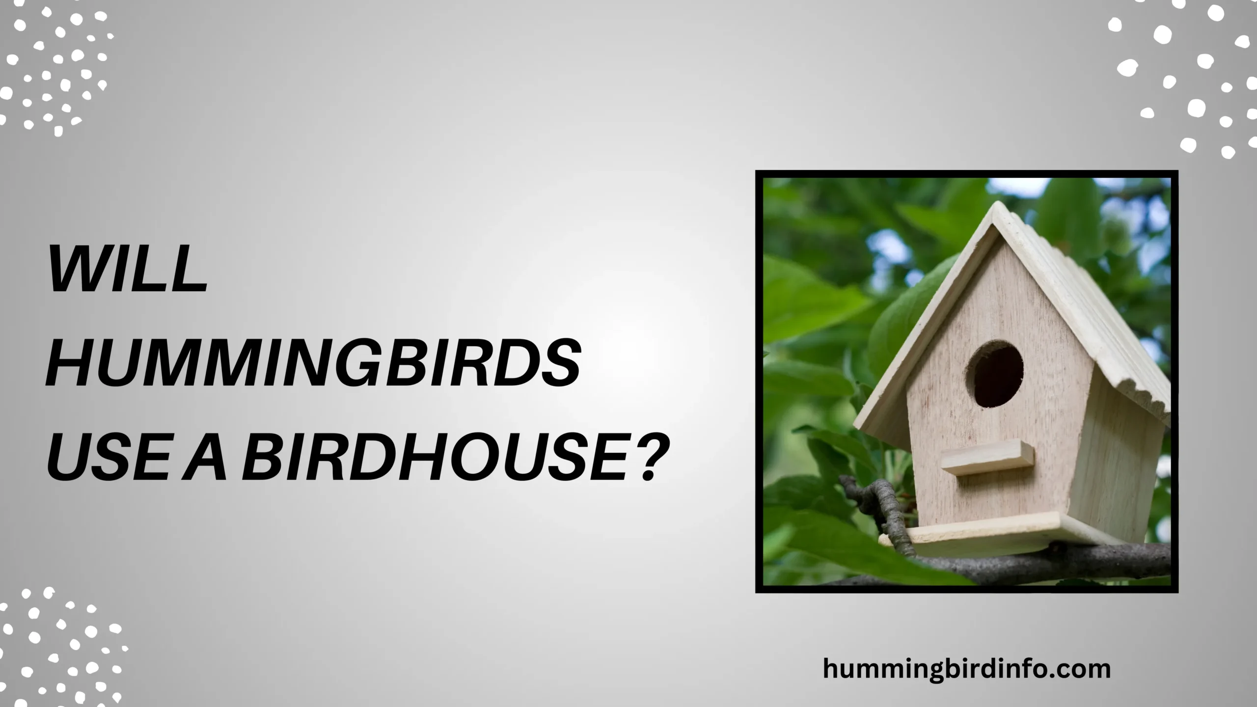 Will Hummingbirds Use A Birdhouse