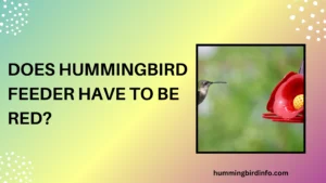does hummingbird feeder have to be red